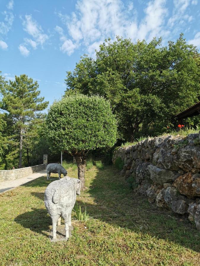 Villa Domaine Geodora, Parfumeur En Provence Montauroux Exterior foto
